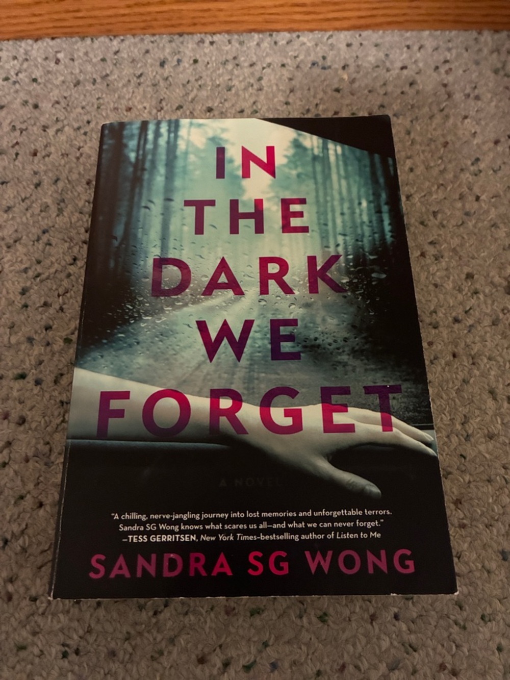In the Dark We Forget by Sandra SG Wong - Dark Teal & Magenta Paperback - Picture 1 of 4